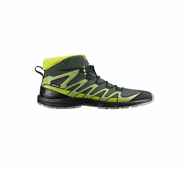 Salomon xa pro winter online